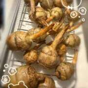 ヒメ日記 2025/12/08 00:13 投稿 なぎ なでし娘