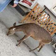 ヒメ日記 2026/02/26 13:34 投稿 なぎ なでし娘