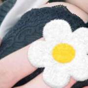 ヒメ日記 2025/01/08 16:50 投稿 アヤ【FG系列】 デリぽちゃin柏（FG系列）