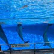 ヒメ日記 2025/06/23 09:40 投稿 のあな 逢って30秒で即尺