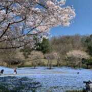 ヒメ日記 2025/09/18 08:54 投稿 のあな 逢って30秒で即尺