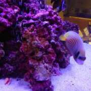 ヒメ日記 2025/07/11 15:01 投稿 こはる 熟女の風俗最終章 町田店