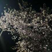 ヒメ日記 2025/04/16 14:41 投稿 めい 舐めたくてグループ〜ペロンチョ学園〜八王子校