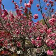 ヒメ日記 2025/05/01 06:19 投稿 めい 舐めたくてグループ〜ペロンチョ学園〜八王子校