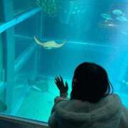 ヒメ日記 2025/04/07 01:18 投稿 まい 舐めたくてグループ～君とサプライズ学園～越谷校