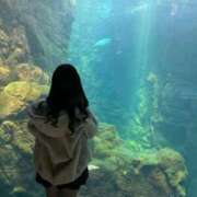 ヒメ日記 2026/04/04 00:25 投稿 まい 舐めたくてグループ～君とサプライズ学園～越谷校