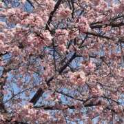 ヒメ日記 2025/03/26 13:47 投稿 むぎ 処女・男性経験少ない素人イメクラ未経験