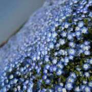 ヒメ日記 2025/04/30 16:47 投稿 さゆり ダイバーシティ錦糸町 蘭の会