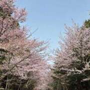 ヒメ日記 2025/04/24 10:08 投稿 一条ナース 病院