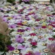 一条ナース 感謝🙂‍↕️ 病院