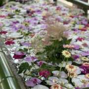 ヒメ日記 2026/01/20 18:36 投稿 一条ナース 病院