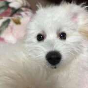 一条ナース 🙂‍↕️ 病院