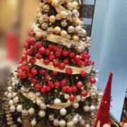 ヒメ日記 2024/12/15 12:22 投稿 みい sakura