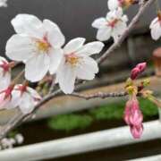 ヒメ日記 2026/03/15 13:54 投稿 新川　ひびき エテルナ彦根