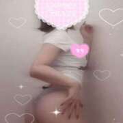 ヒメ日記 2026/02/19 15:50 投稿 白雪 アリス【秘書クラス】 PHOENIX(フェニックス)鳥栖店