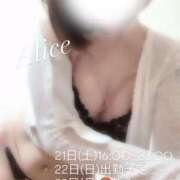 ヒメ日記 2026/02/20 14:26 投稿 白雪 アリス【秘書クラス】 PHOENIX(フェニックス)鳥栖店