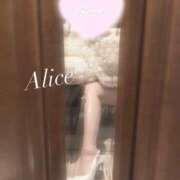 ヒメ日記 2026/02/27 12:02 投稿 白雪 アリス【秘書クラス】 PHOENIX(フェニックス)鳥栖店