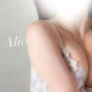 ヒメ日記 2026/04/02 16:41 投稿 白雪 アリス【秘書クラス】 PHOENIX(フェニックス)鳥栖店