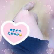 ヒメ日記 2024/12/07 08:43 投稿 橘まりあ 人妻家久喜