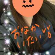 ヒメ日記 2025/04/26 11:59 投稿 橘まりあ 人妻家久喜