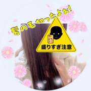 ヒメ日記 2024/12/28 09:17 投稿 橘まりあ 人妻家 古河・小山店