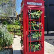 西本 かなで お久しぶりです(*_ _) Canx2京都店