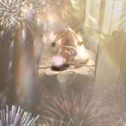 ヒメ日記 2026/02/13 17:38 投稿 生田　もえ ソープランド蜜 人妻・美熟女専門店