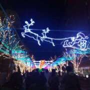 ヒメ日記 2025/12/26 23:18 投稿 てんし しろうとCollection