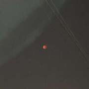 ヒメ日記 2025/09/10 09:36 投稿 ひろか 埼玉西川口ショートケーキ（シンデレラグループ）