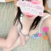 ヒメ日記 2026/02/12 07:20 投稿 あみ 巨乳痴女専門店 萌えの隣人 新宿店