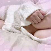 ヒメ日記 2025/02/17 10:44 投稿 みか 石庭