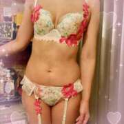 ヒメ日記 2025/03/01 22:50 投稿 みか 石庭