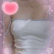 ヒメ日記 2025/08/29 14:50 投稿 みか 石庭