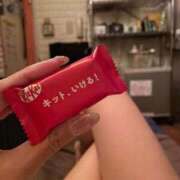 ヒメ日記 2025/11/28 15:01 投稿 みか 石庭