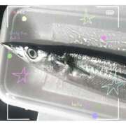 ヒメ日記 2026/09/01 09:58 投稿 もみじ PHANTOM(ファントム)