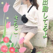 ヒメ日記 2025/05/03 21:25 投稿 さちこ 熟女の薫り