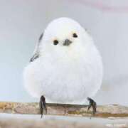 ヒメ日記 2025/03/27 18:20 投稿 あやか【超次元Hカップエロ姉様】 Beppin house