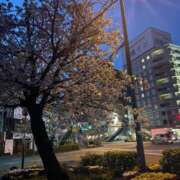 ヒメ日記 2025/04/05 16:40 投稿 あやか【超次元Hカップエロ姉様】 Beppin house