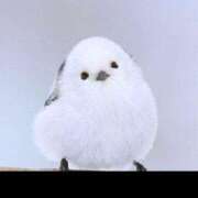 ヒメ日記 2025/05/01 16:20 投稿 あやか【超次元Hカップエロ姉様】 Beppin house