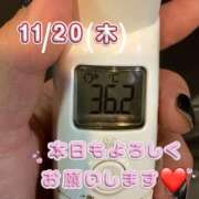 ヒメ日記 2025/11/20 15:30 投稿 あやか【超次元Hカップエロ姉様】 Beppin house