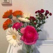 ヒメ日記 2026/01/16 22:20 投稿 あやか【超次元Hカップエロ姉様】 Beppin house