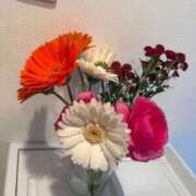 ヒメ日記 2026/01/17 16:10 投稿 あやか【超次元Hカップエロ姉様】 Beppin house