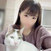 ヒメ日記 2025/06/14 13:06 投稿 ひな☆欲を掻き立てるロリ小柄美少 Ribbon 1st