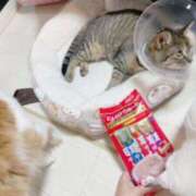 ヒメ日記 2025/07/07 16:13 投稿 ひな☆欲を掻き立てるロリ小柄美少 Ribbon 1st