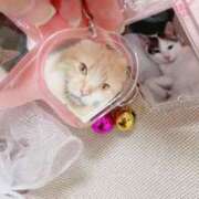 ヒメ日記 2025/07/16 16:53 投稿 ひな☆欲を掻き立てるロリ小柄美少 Ribbon 1st