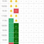 ヒメ日記 2025/12/29 12:43 投稿 ひな☆欲を掻き立てるロリ小柄美少 Ribbon 1st