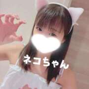 ヒメ日記 2026/06/05 12:03 投稿 ひな☆欲を掻き立てるロリ小柄美少 Ribbon 1st