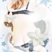 ヒメ日記 2026/01/06 05:47 投稿 桜木 かれん こあくまな熟女たち 広島店（KOAKUMAグループ）