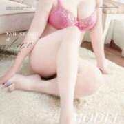 ヒメ日記 2026/01/06 11:30 投稿 桜木 かれん こあくまな熟女たち 広島店（KOAKUMAグループ）