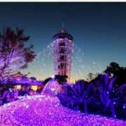 ヒメ日記 2024/12/24 19:20 投稿 美咲　エルザ エンジェルコースト